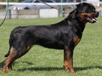 /album/fotogaleria/a9-jpg/